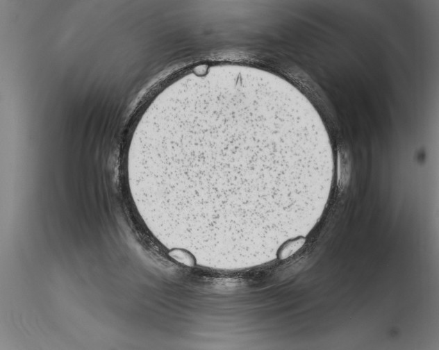 X0000115280204200912111234