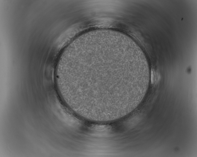 X0000115280205200912111234