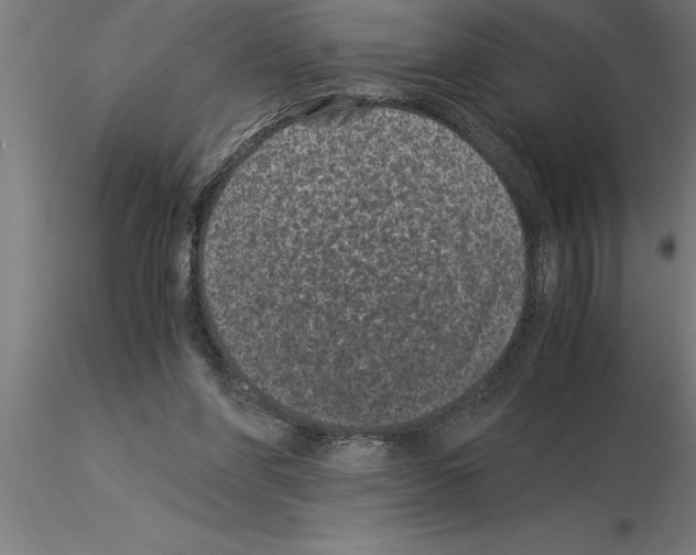 X0000115280206200912111234