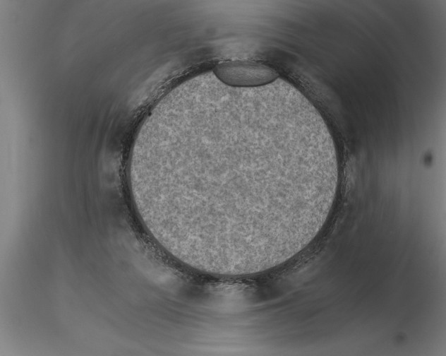 X0000115280209200912111233