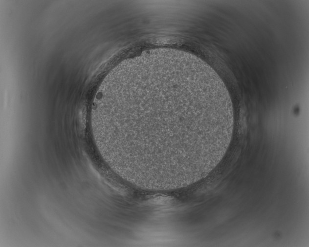 X0000115280210200912111233