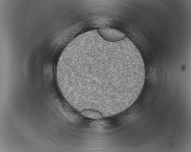 X0000115280213200912111233