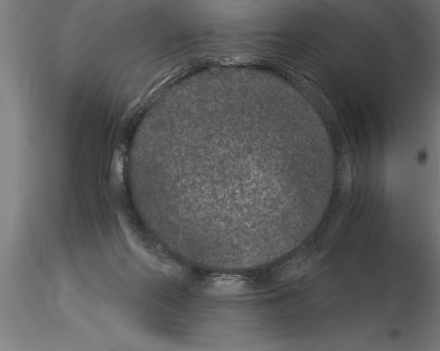 X0000115280214200912111233