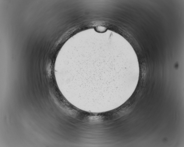 X0000115280216200912111233