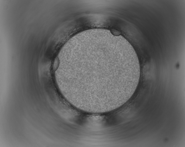 X0000115280217200912111233