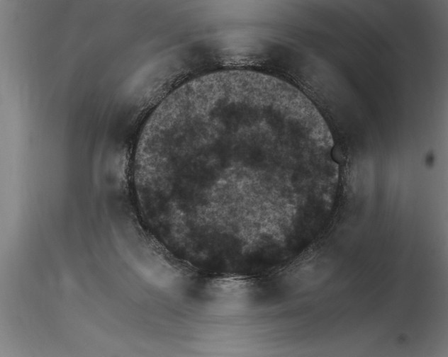 X0000115280219200912111233