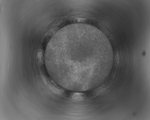 X0000115280222200912111233