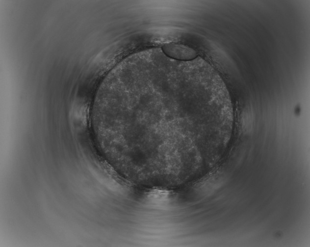 X0000115280227200912111233