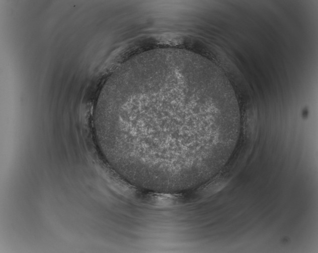 X0000115280229200912111233