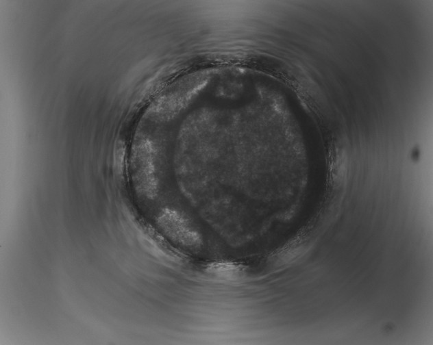 X0000115280231200912111233