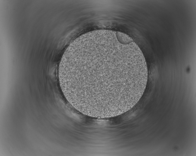 X0000115280233200912111233