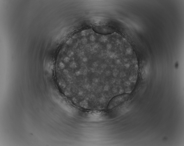 X0000115280235200912111233