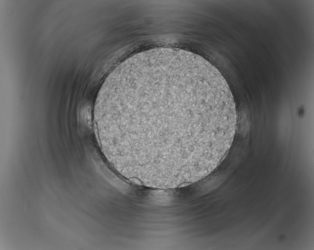 X0000115280238200912111233