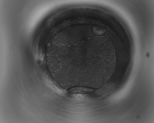 X0000115280239200912111233