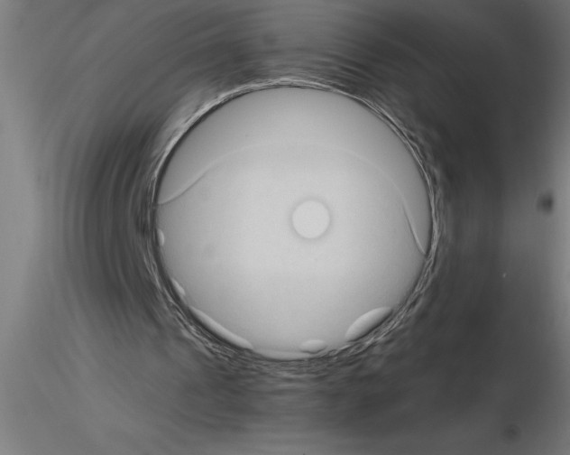 X0000115280241200912111232