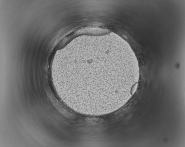 X0000115280242200912111232