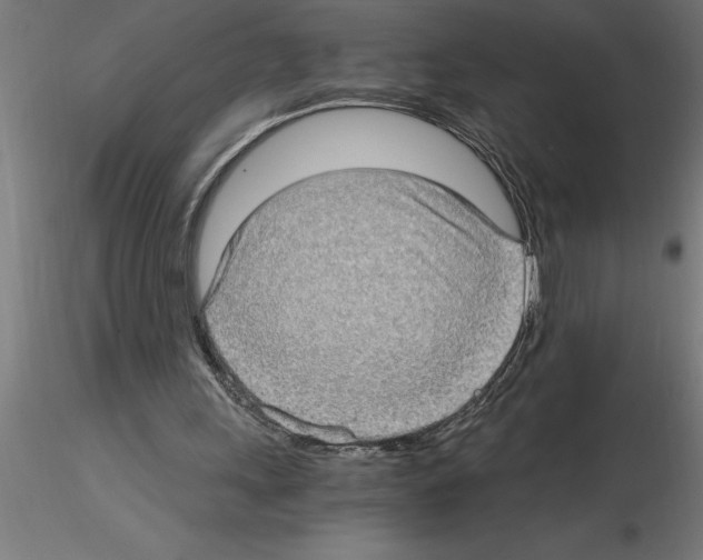 X0000115280243200912111232