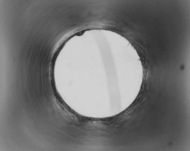 X0000115280244200912111232