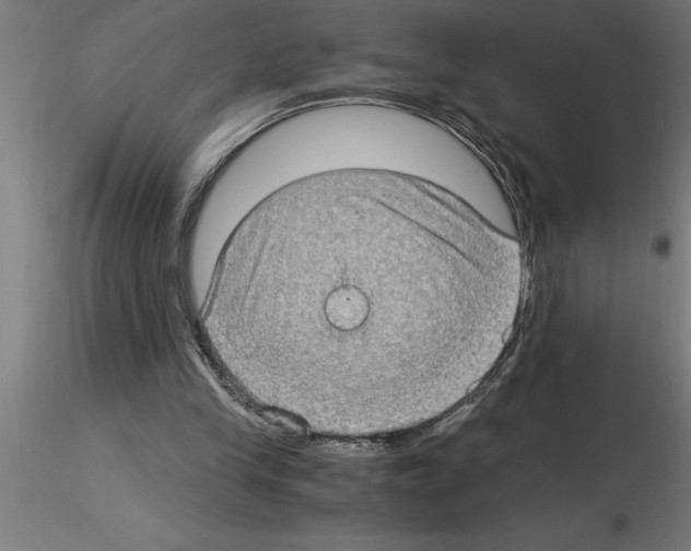 X0000115280245200912111232