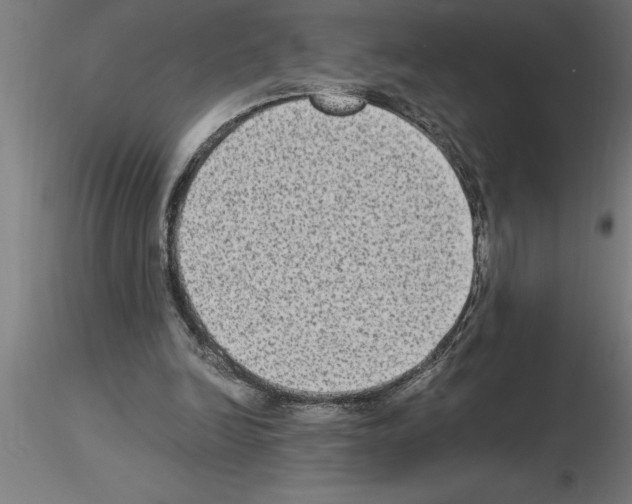 X0000115280246200912111232