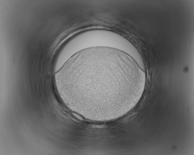 X0000115280247200912111232