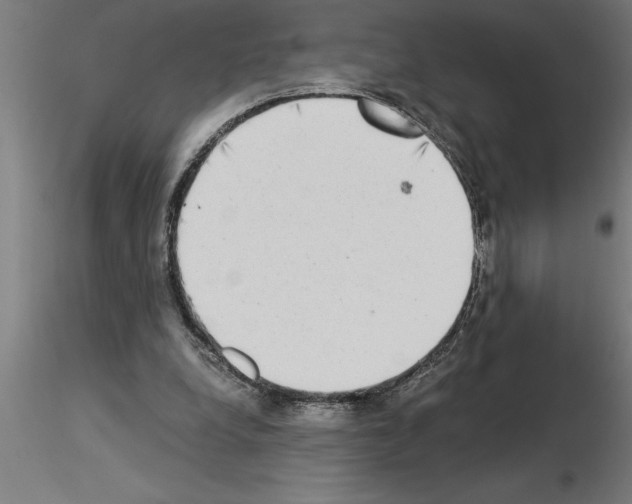 X0000115280248200912111232