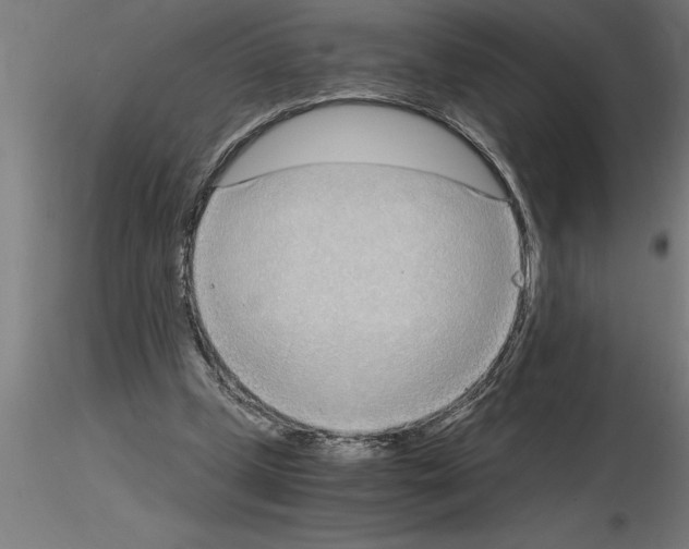 X0000115280249200912111232