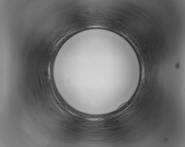 X0000115280251200912111232