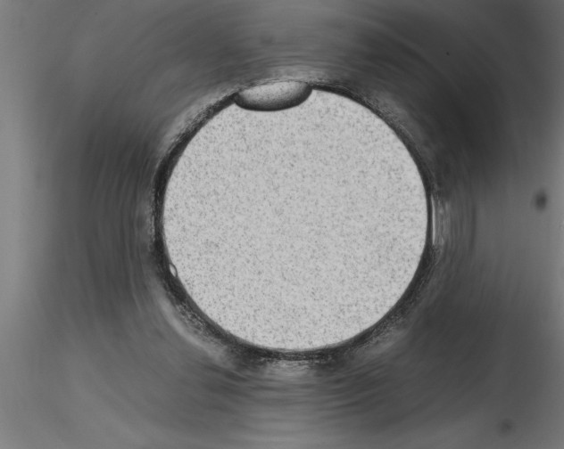 X0000115280252200912111232