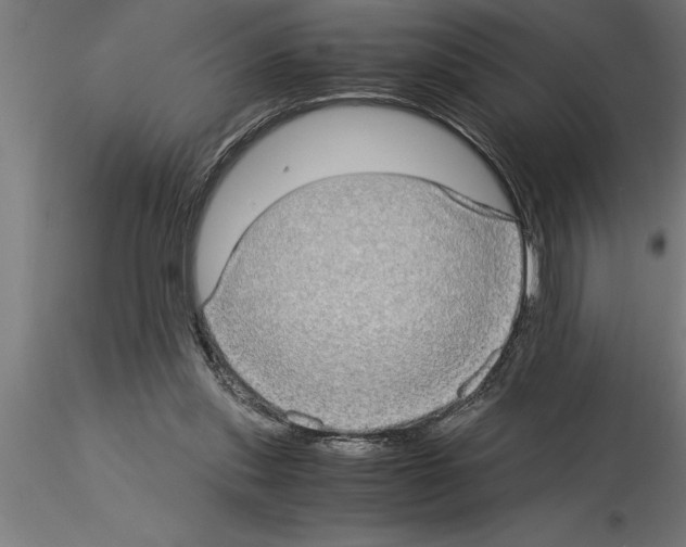 X0000115280253200912111232