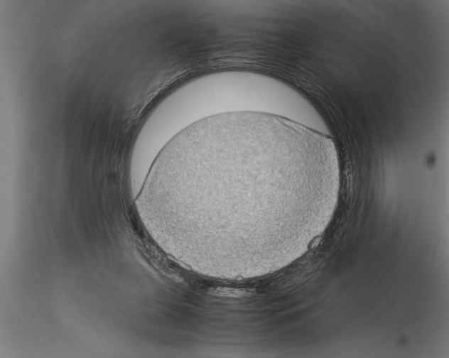 X0000115280255200912111232