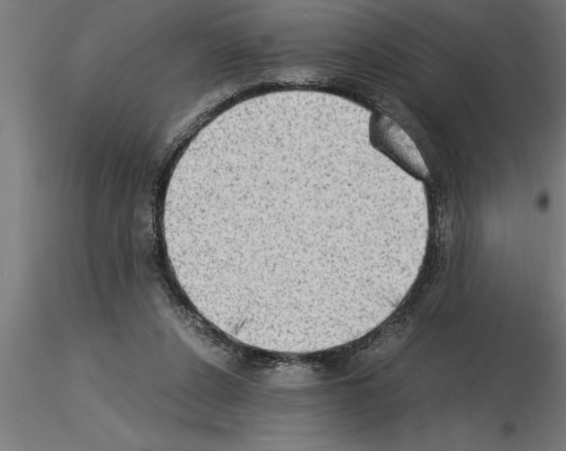 X0000115280256200912111232