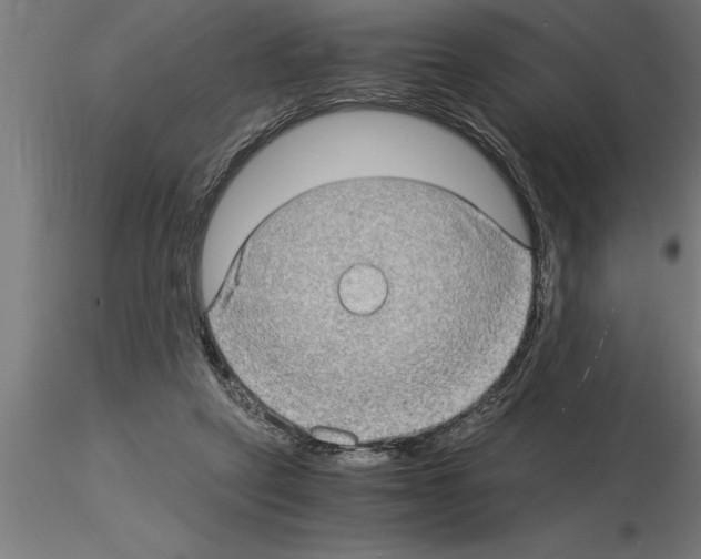 X0000115280257200912111232