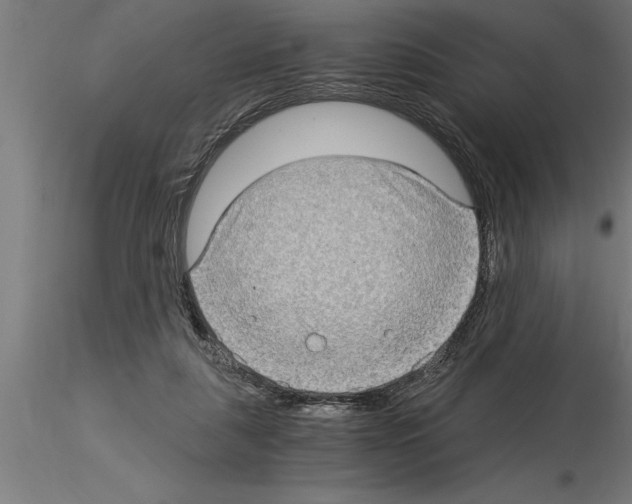 X0000115280259200912111232