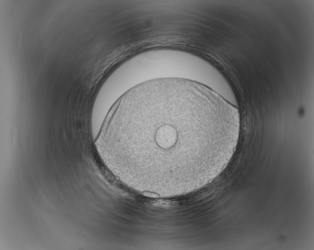 X0000115280261200912111232