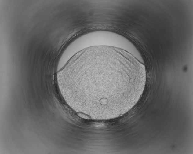 X0000115280264200912111233