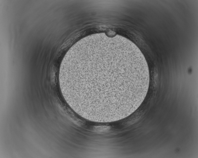 X0000115280266200912111233