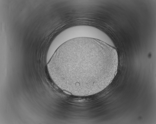 X0000115280267200912111233