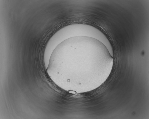 X0000115280269200912111233