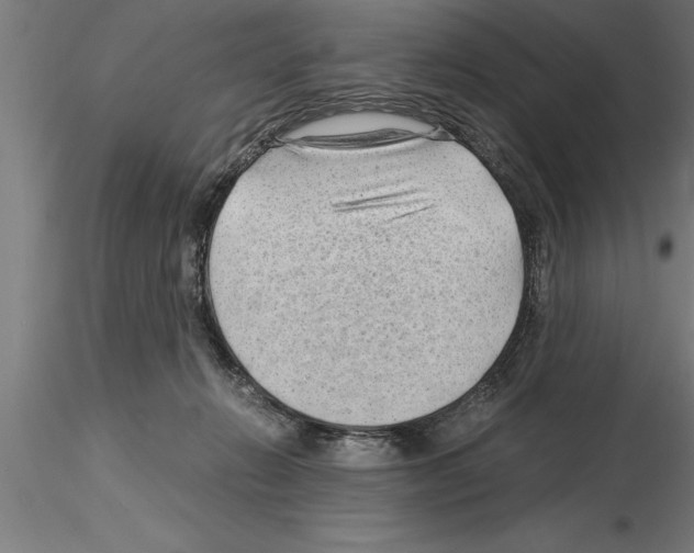 X0000115280270200912111233