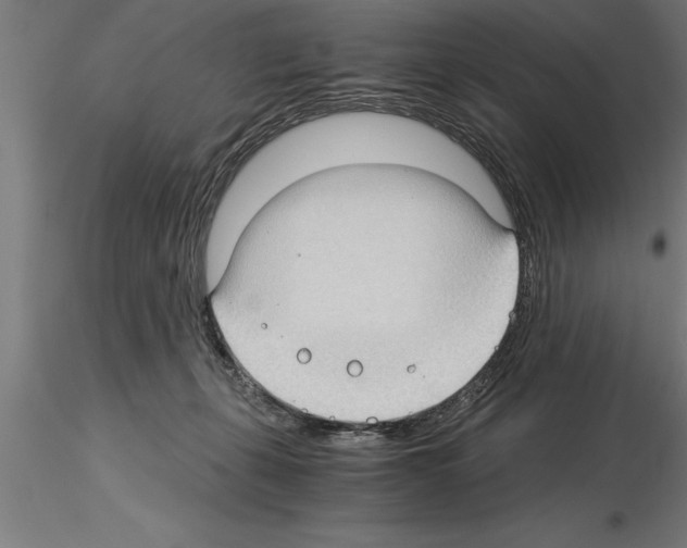 X0000115280271200912111233