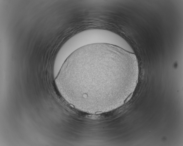 X0000115280273200912111233