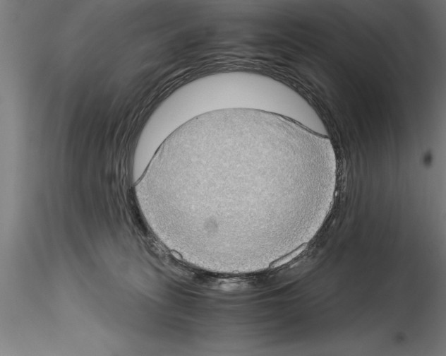 X0000115280275200912111233