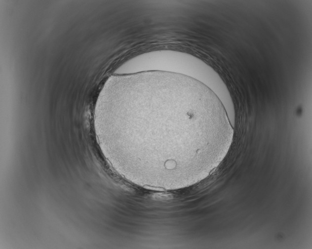 X0000115280279200912111233