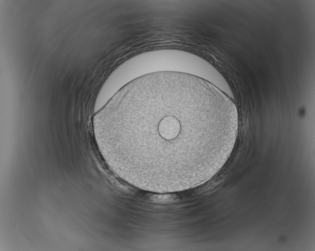 X0000115280281200912111233