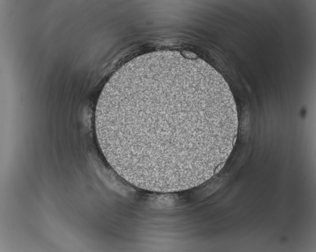 X0000115280282200912111233