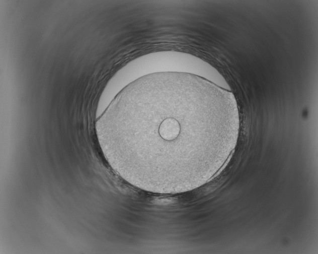 X0000115280283200912111233