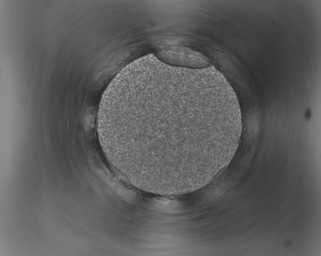 X0000115280284200912111233