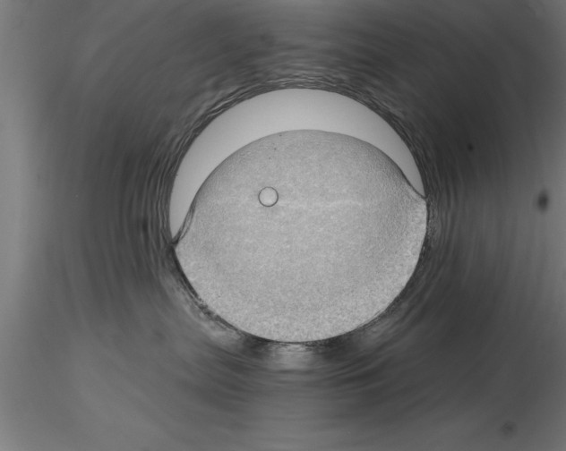 X0000115280287200912111233