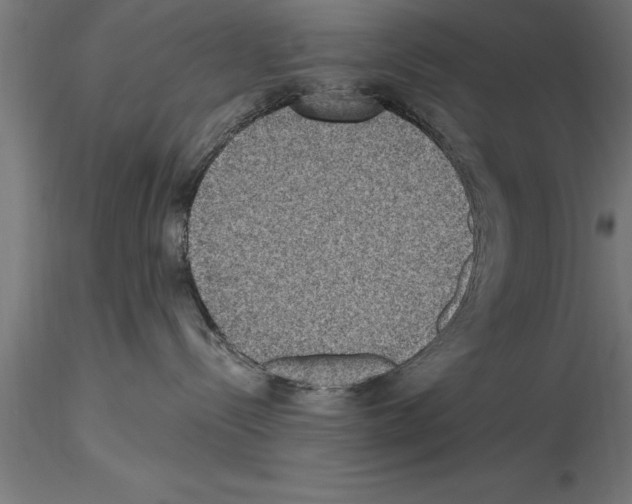 X0000115280288200912111233